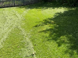 Deandre Y.'s lawn maintenance service result