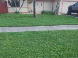 Raymond H.'s grass maintenance service result