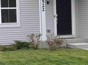 Caitlin D.'s turf care service result