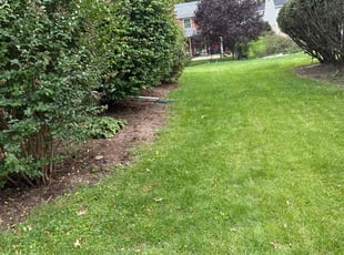 Kirk S.'s lawn service service result