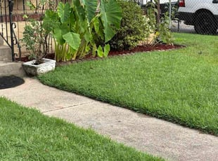 Michael M.'s Mulching service result