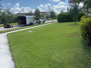 Jeff M.'s turf care service result