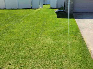 Kimberly V.'s turf care service result