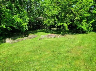 Brendon B.'s grass cutting service result