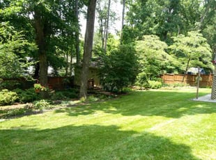 Margaret K.'s grass maintenance service result