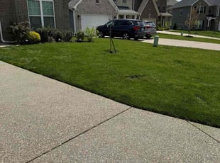 Ryan H.'s lawn care services service result