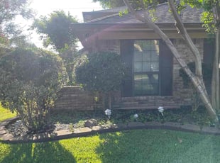 Robert R.'s Bush Trimming service result