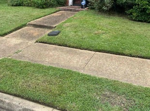 Thomas A.'s lawn care services service result