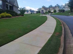Judith R.'s lawn care service result