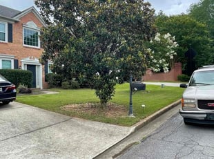 Ray F.'s grass maintenance service result