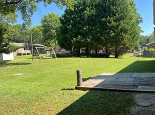 Shanda E.'s grass cutting service result
