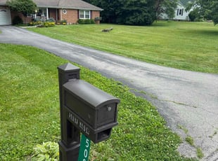 Miko B.'s lawn care service result
