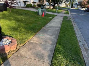 Darrell B.'s grass maintenance service result