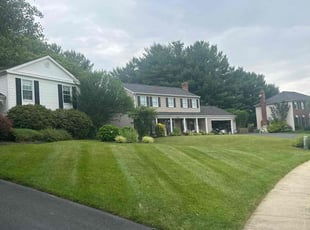 Jared N.'s lawn service service result