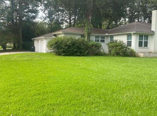 Jonathan W.'s lawn care service result
