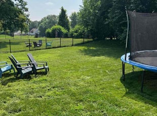 Rodion P.'s grass cutting service result