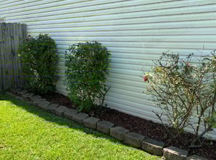 Paul W.'s Bush Trimming service result