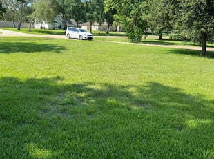 Deborah E.'s lawn maintenance service result