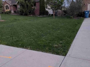 Leo R.'s grass cutting service result