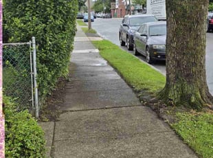 Lane L.'s grass cutting service result