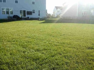 Megan J.'s lawn care services service result