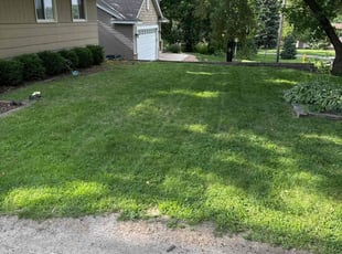 Branko G.'s lawn care service result