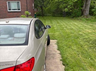 Alicia A.'s lawn care services service result