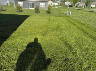 Trena L.'s lawn care services service result