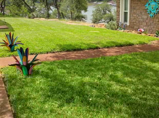 Pamela E.'s lawn care services service result