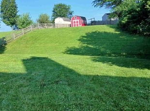 Sue H.'s lawn care service result