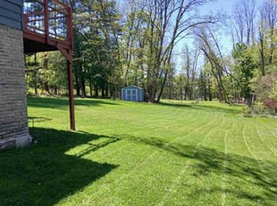 Margie H.'s grass cutting service result