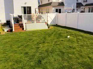 Ashley K.'s grass maintenance service result