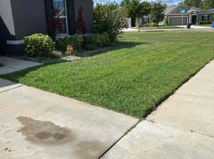 Leisa M.'s lawn care service result