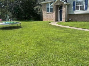 Wendy W.'s turf care service result