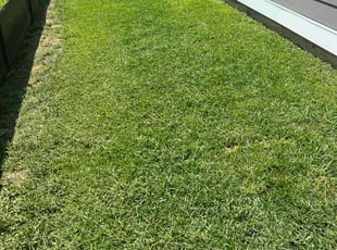Ronald G.'s lawn care services service result