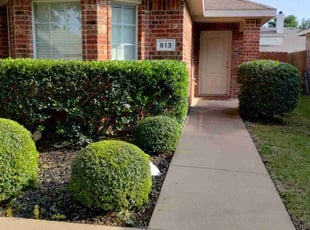 Daniel S.'s Bush Trimming service result