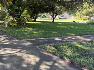 Edward M.'s lawn service service result