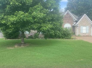 Luna B.'s yard maintenance service result