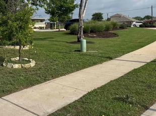 Kay P.'s turf care service result