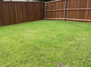 Rehema V.'s turf care service result