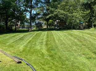Melissa K.'s lawn maintenance service result