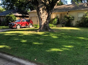 Rayce M.'s grass cutting service result