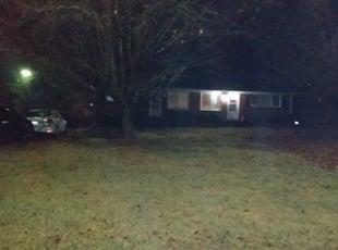 Erica W.'s Leaf Removal service result