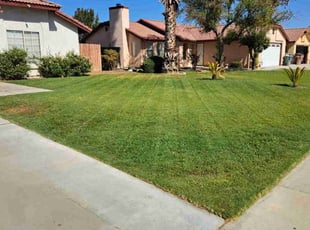Jamillah O.'s grass maintenance service result