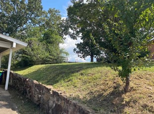 Valerie G.'s turf care service result