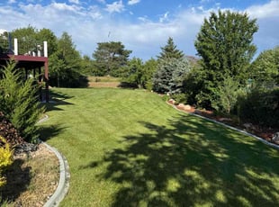 Dina M.'s turf maintenance service result