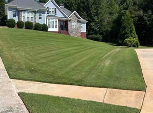 Pietra B.'s grass maintenance service result