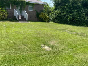 Marcellus P.'s turf maintenance service result