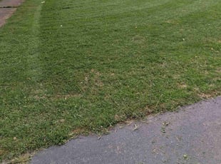 Kerry B.'s lawn service service result