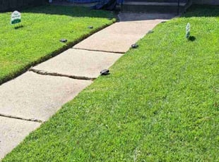Natalie M.'s grass cutting service result